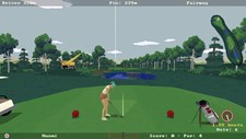 Super Video Golf Screenshot 7