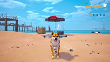Doge Simulator Screenshot 6