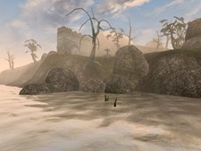 The Elder Scrolls III: Morrowind Screenshot 8