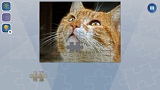 Jigsaw Puzzle Fever Screenshot 6