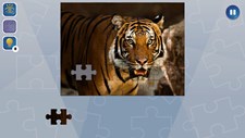Jigsaw Puzzle Fever Screenshot 1