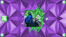 Poly Jigsaw: Birds Screenshot 1