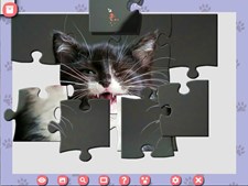 1001 Jigsaw. Cute Cats 4 Screenshot 4