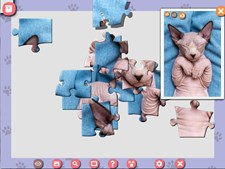 1001 Jigsaw. Cute Cats 5 Screenshot 1