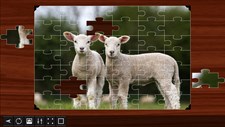 Jigsaw Puzzle World Screenshot 5