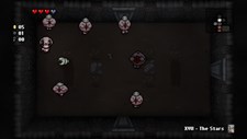 The Binding of Isaac: Rebirth Screenshot 5