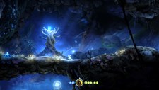 Ori and the Blind Forest Screenshot 2