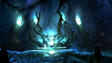 Ori and the Blind Forest Screenshot 4