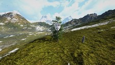 Birch Simulator Screenshot 4