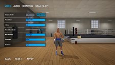 Tactic Boxing Screenshot 2