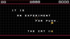 Push The Cat with WASD Demo Screenshot 7