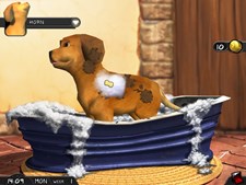 My Best Friends - Cats & Dogs Screenshot 7