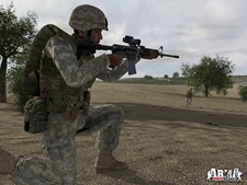 ARMA: Combat Operations Screenshot 5