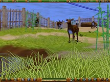 Zoo Empire Screenshot 8