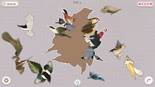 Birds Huddled Together Screenshot 4