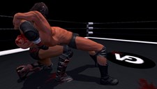 Pro Wrestling X Screenshot 4