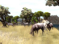 Wildlife Park 2 - Horses Screenshot 6