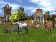 Wildlife Park 2 - Horses Screenshot 5