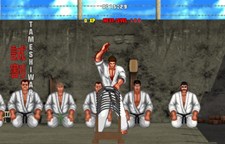 Karate Master 2 Knock Down Blow Screenshot 7