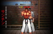 Karate Master 2 Knock Down Blow Screenshot 8