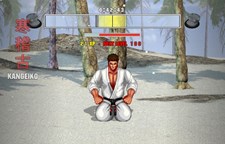 Karate Master 2 Knock Down Blow Screenshot 2