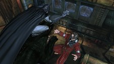 Batman: Arkham Asylum Game of the Year Edition Screenshot 1