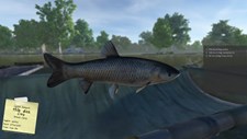 Carp Fishing Simulator Screenshot 4
