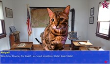 Cat President ~A More Purrfect Union~ Screenshot 5