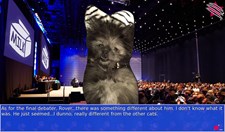 Cat President ~A More Purrfect Union~ Screenshot 7