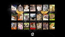 Kitty Cat: Jigsaw Puzzles Screenshot 2