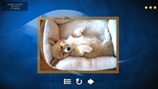 Puppy Dog: Jigsaw Puzzles Screenshot 3