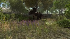 Dinosaur Forest Screenshot 8