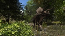 Dinosaur Forest Screenshot 5