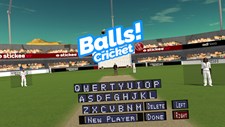 Balls Virtual Reality Cricket Screenshot 4