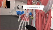 3D Organon VR Anatomy Screenshot 2