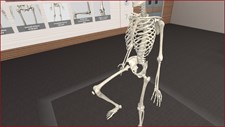 3D Organon VR Anatomy Screenshot 4