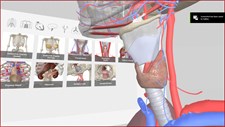 3D Organon VR Anatomy Screenshot 7