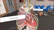3D Organon VR Anatomy Screenshot 8