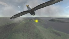 Aquila Bird Flight Simulator Screenshot 1