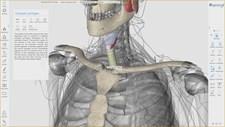 3D Organon Anatomy Screenshot 1
