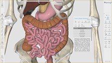 3D Organon Anatomy Screenshot 2