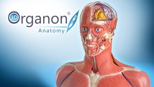 3D Organon Anatomy Screenshot 4