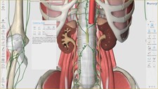 3D Organon Anatomy Screenshot 7