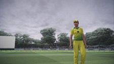 Ashes Cricket Screenshot 5