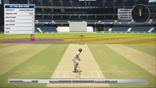 Ashes Cricket Screenshot 7
