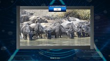 Trials of the Illuminati: Amazing Wildlife Jigsaws Screenshot 3