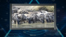 Trials of the Illuminati: Amazing Wildlife Jigsaws Screenshot 4