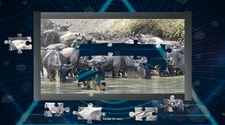 Trials of the Illuminati: Amazing Wildlife Jigsaws Screenshot 5