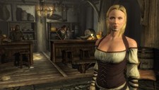 The Elder Scrolls V: Skyrim Screenshot 8