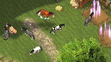 Horse Paradise - My Dream Ranch Screenshot 3